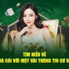 nhà cái uy tín 🎲game bài đổi thưởng trangbet88